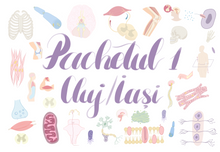 Încarcă imaginea în vizualizatorul Galerie, Planșe cu ilustrații BARRON'S