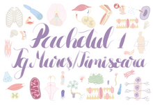 Încarcă imaginea în vizualizatorul Galerie, Planșe cu ilustrații BARRON'S